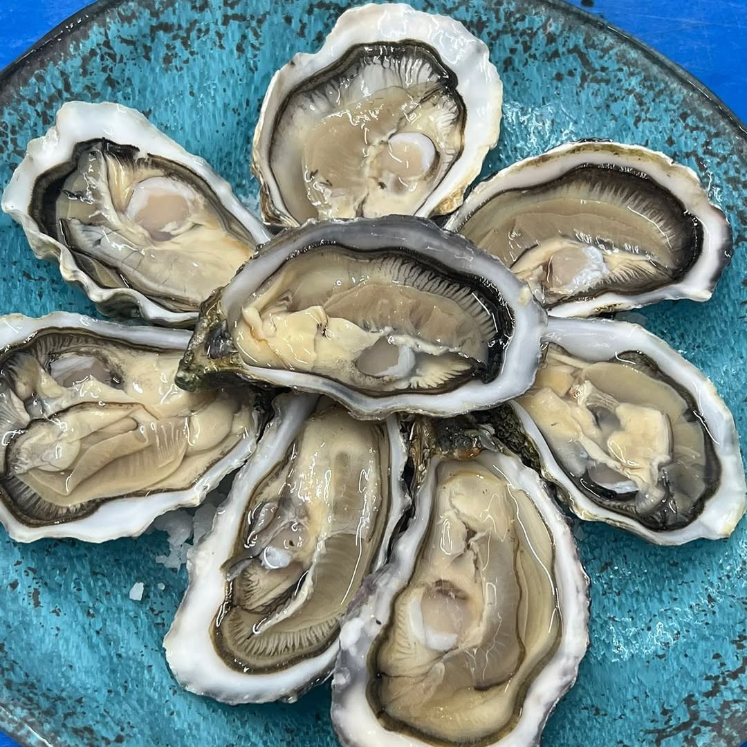Plato 4