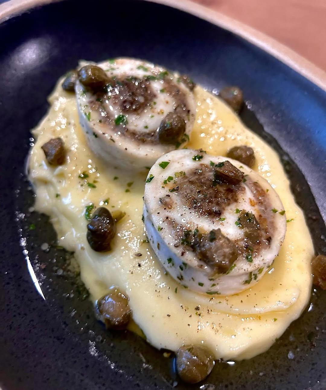 Plato 5