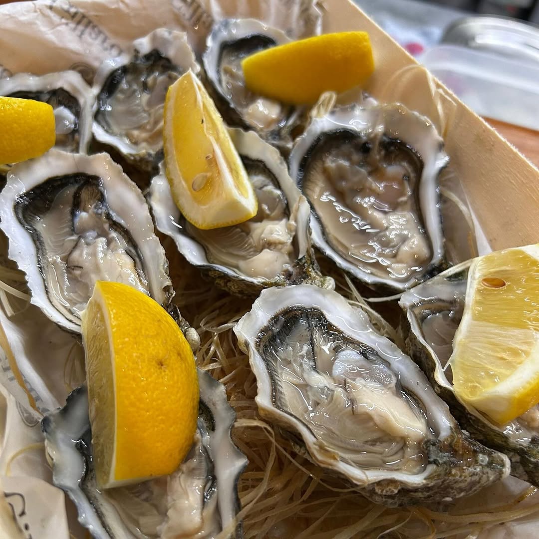 Plato 6