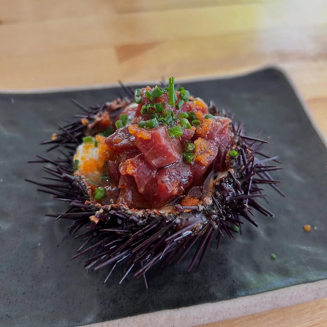 Plato 7